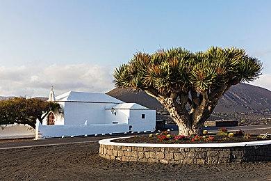 ARK系列发行商蜗牛游戏发布3A开放宇宙游戏